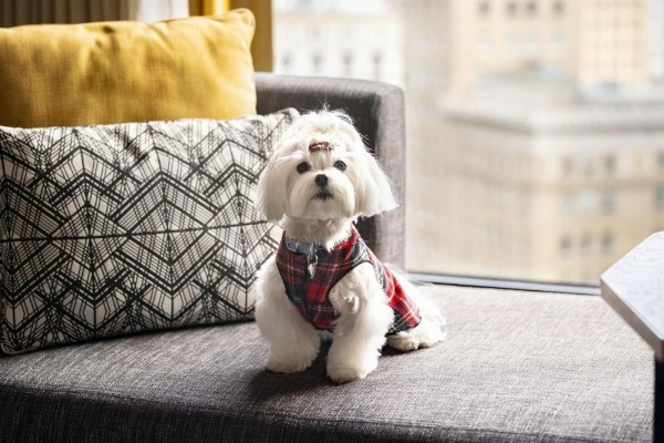 Oakland Marriott City Center image 18